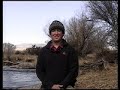 Big Brown Trout