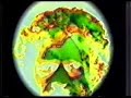 terence-mckenna-on-visible-language.html