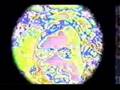 Terence McKenna - On Visible Language