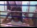 videos de Lei c wndw.