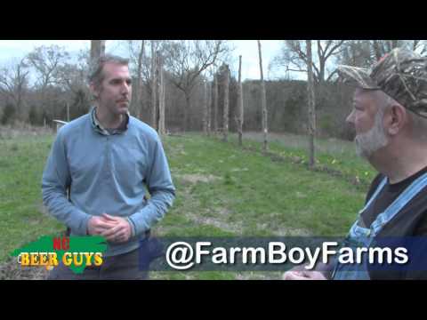 how to grow hops in nc