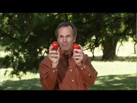 how to harvest knowledge