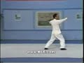 Xing Yi Chuan: Continuous Five Element Xing Yi Chuan: Continuous Five Element