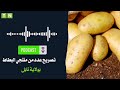نابل : مُنتجو البطاطا يشتكون من توريد البطاطا من دول أخرى رغم وفرة الانتاج (فيديو)