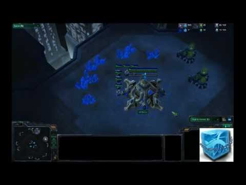 BsC Coaching 2- Lovegeek (Protoss Gold)-