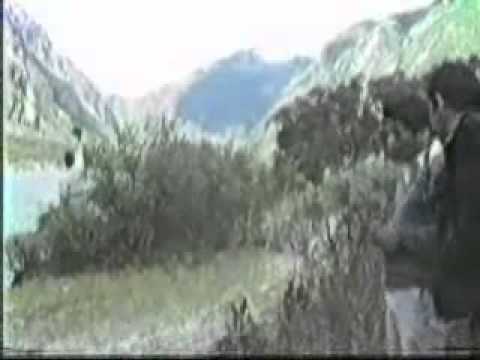 Imagen de previsualización de YouTube