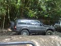 ridiculo en playa paraiso