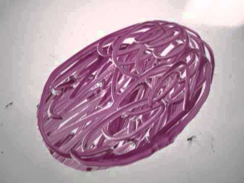 how to isolate lysosomes