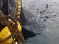 videos de pesca de cerco artesanal MEJILLONES juan pablo ll