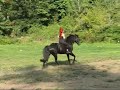 Redhead on a Tennessee Walker