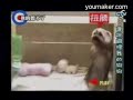 ???????? ????????