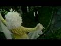 The Dresden Dolls - Girl Anachronism