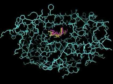 Dock SB203SB238 ligand to HIV-1 ...