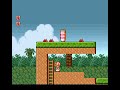Super Mario Bros 2 - World 5-3