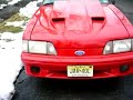 an all around view of my ferrari red 1988 mustang before i droped in the 5.8l 351w with a kenne bell 12psi supercharger andthe c4 trans with a transbrake and a hole lot more. click on my site to see the car now!! this car is all raced out and fast as hell!  and yes it can beat your car! ------ http://rides.mustang50magazine.com/ride/1007161/351crazymustang/1988/ford/mustang/index.html ---!