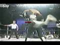 random-cool-wrestlin