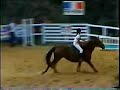 Cavalo Samaritana