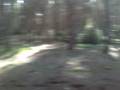 VIDEO0067.mp4