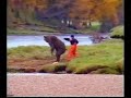 Commercial - Guy Fights Bear For Fish Commercial - Guy Fights Bear For Fish