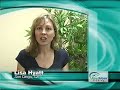 Testimonials from First Hour Traders - day trading stocks