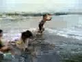 aringay beach 2
