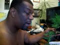 How to Manicure Medical Marijuana