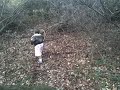 Q Climbin