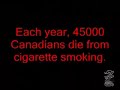 what happens to the lungs when you stop smoking