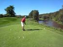 Hybrid golf swing