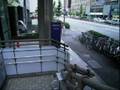 芝浦工業大学　専門職大学院MOTキャンパス