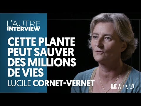 Image de prévisualisation YouTube