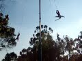 Voladores de Papantla