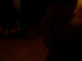 MOV00609.3GP