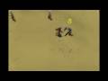 RuneScape - Zanik's Crossbow and Granite Mace