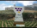 oliven i rioja