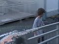 skateboarding legend skateboarding legend