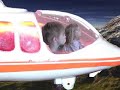 Chopper 3
