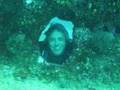 the scuba team