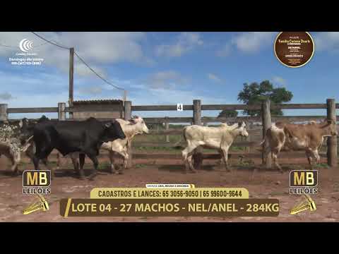 11� LEIL�O FAM�LIA LUCIANO DUARTE E CONVIDADOS