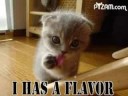 Random Funny Pix
