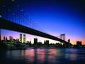 City Nights Scenes