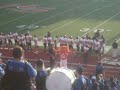 Sammy The Bearkat