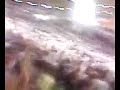 Botafogo 1 x 1 Vasco - Bandeira do FOGÃO indo pro Céu