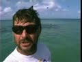 Fly Fish Cape York Australia Fly Fish Cape York Australia