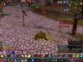 Chupicontra haruo.wmv