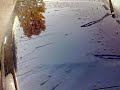 22112008019.mp4