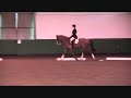 Prince Prelim 7