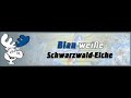 Schwarzwaldelche Spot