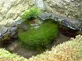 Hiyoshi-taisha Miya - Mysterious holy water bubbles Hiyoshi-taisha Miya - Mysterious holy water bubbles