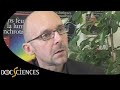 docsciences une revue de vulgarisation scientifique